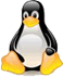 unix and linux print management