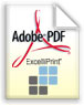 ExcelliPrint®