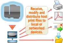 RPM remote print manager software solution example